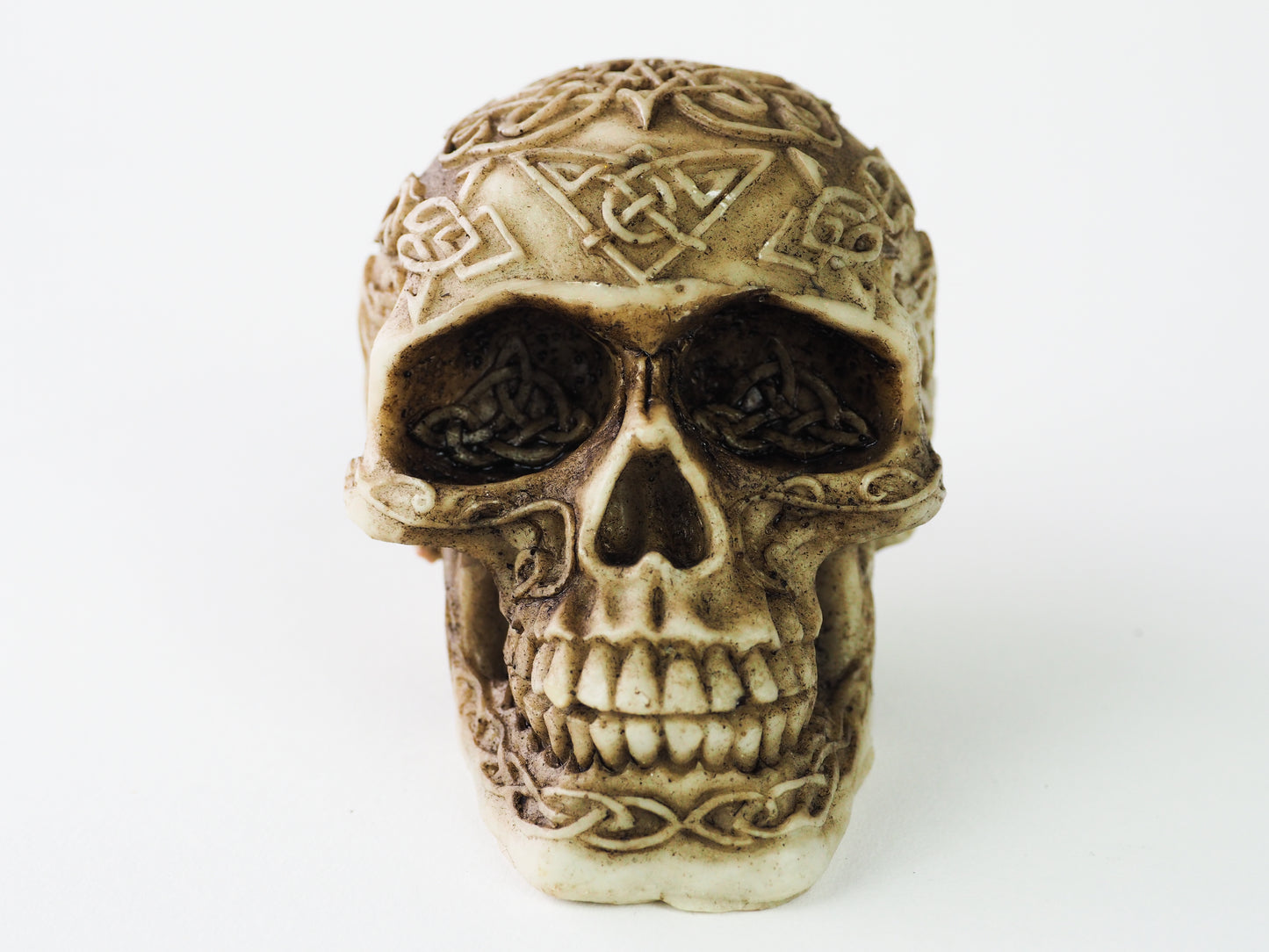 Large Celtic Skull image 1