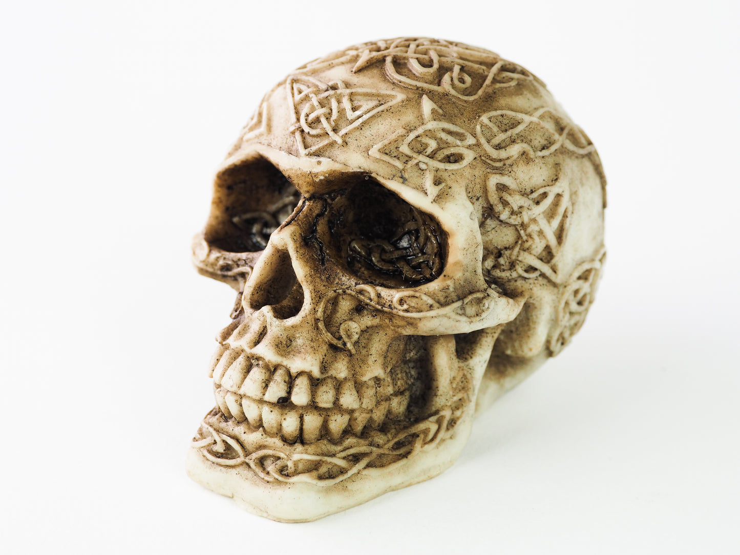 Large Celtic Skull image 0
